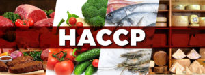 ВЕБИНАР ПО СИСТЕМЕ HACCP. 28.04.2022г.