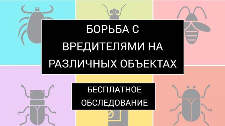 Борьба с вредителями на различных объектах – бесплатное обследование!