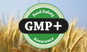 ОБУЧЕНИЕ «СТАНДАРТ GMP+» (20.10.2022)